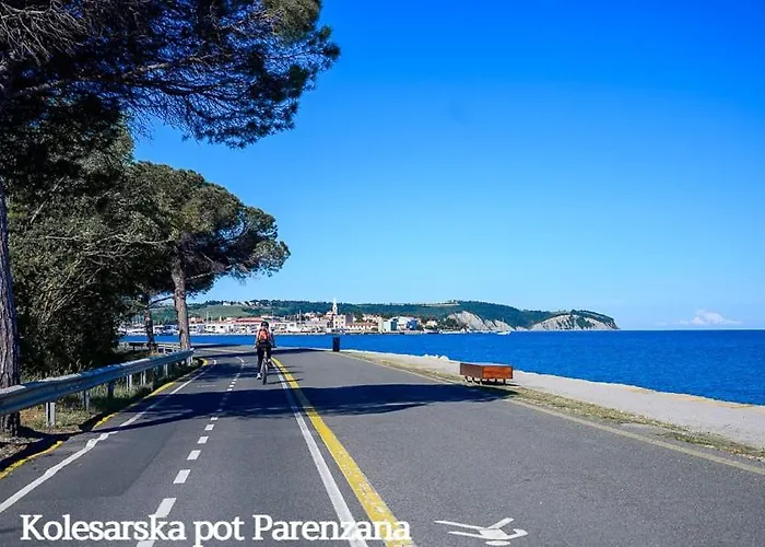 Apartma Zusterna Za Bazenom 公寓 科佩尔